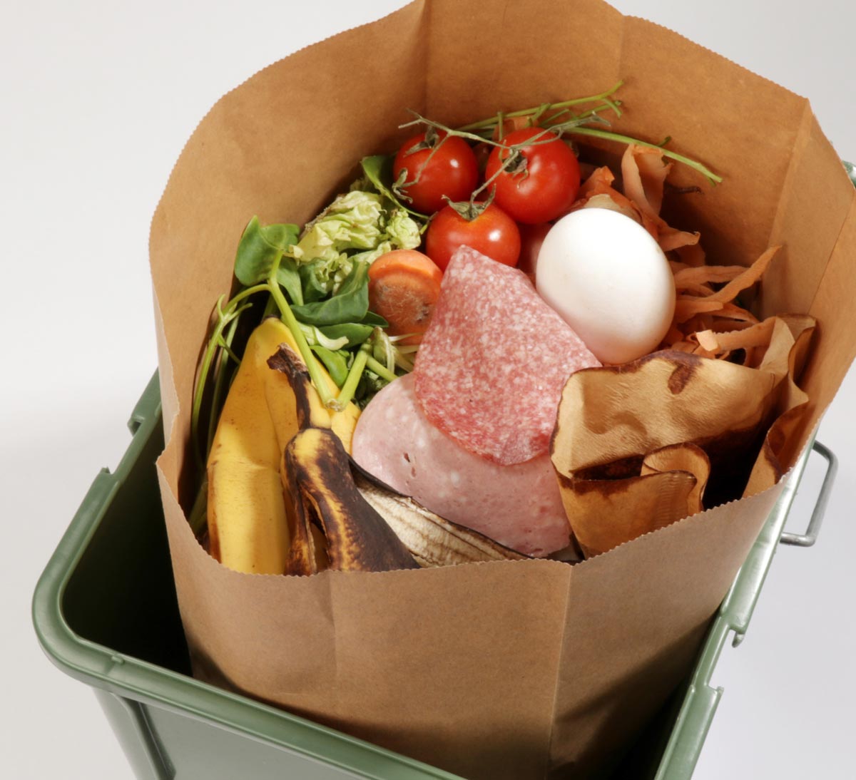 Fleisch- und eiweißhaltige Küchen- und Speiseabfälle gehören nicht auf den Gartenkompost. Hier ist die Bioenergietonne die ideale Lösung. 