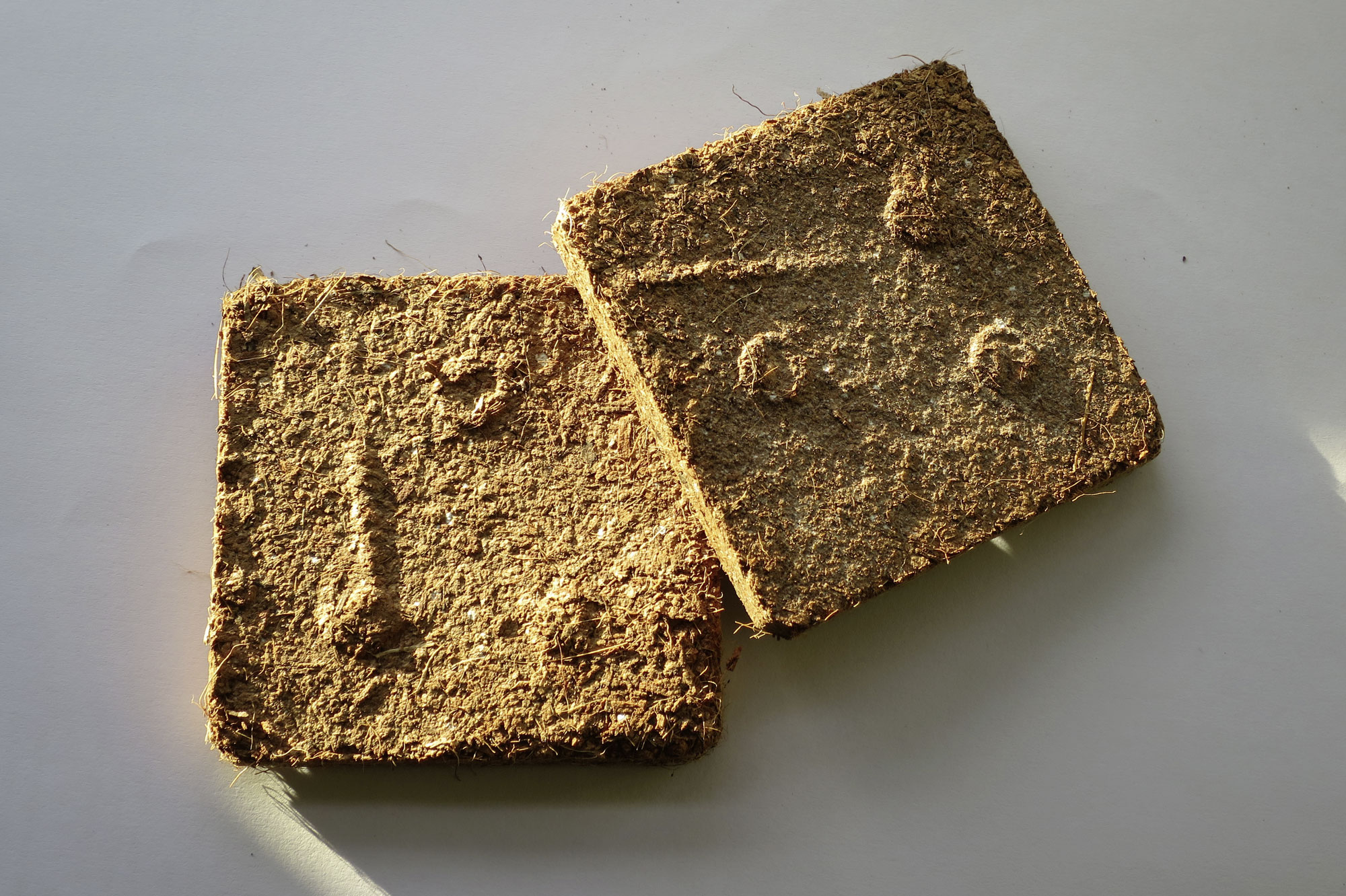 BET Biofilter